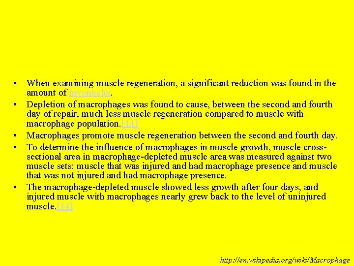  • When examining muscle regeneration, a significant reduction was found in the amount