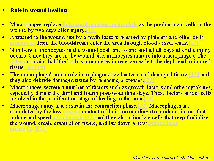  • Role in wound healing • Macrophages replace Polymorphonuclear neutrophils as the predominant