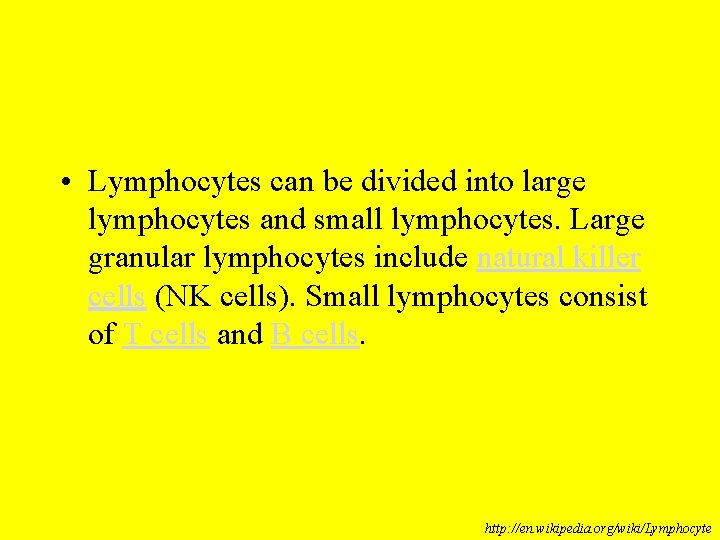  • Lymphocytes can be divided into large lymphocytes and small lymphocytes. Large granular