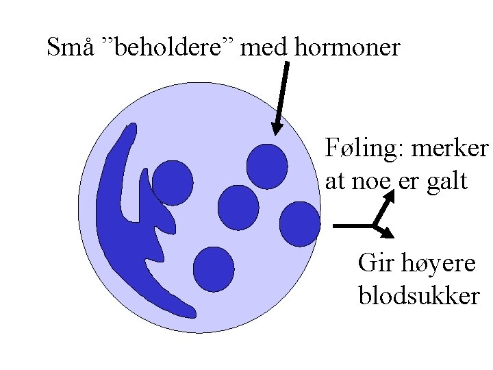Små ”beholdere” med hormoner Føling: merker at noe er galt Gir høyere blodsukker 