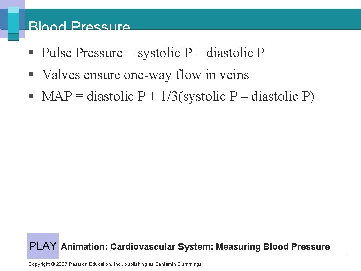 Blood Pressure § Pulse Pressure = systolic P – diastolic P § Valves ensure