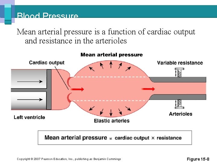 Blood Pressure Mean arterial pressure is a function of cardiac output and resistance in