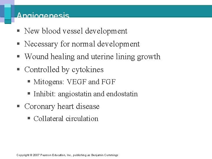 Angiogenesis § New blood vessel development § Necessary for normal development § Wound healing