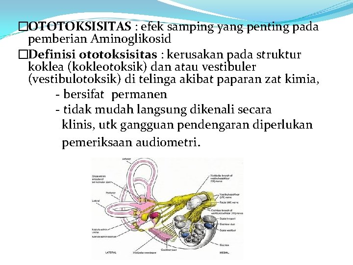 �OTOTOKSISITAS : efek samping yang penting pada pemberian Aminoglikosid �Definisi ototoksisitas : kerusakan pada