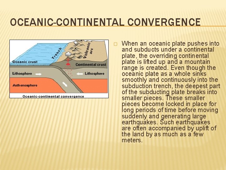 OCEANIC-CONTINENTAL CONVERGENCE � When an oceanic plate pushes into and subducts under a continental