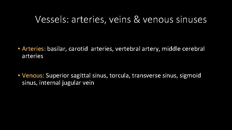 Vessels: arteries, veins & venous sinuses • Arteries: basilar, carotid arteries, vertebral artery, middle