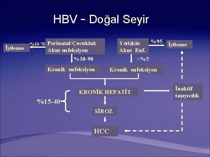 HBV – Doğal Seyir İyileşme %10 -70 %95 Yetişkin Akut Enf. <%5 Perinatal/Çocukluk Akut