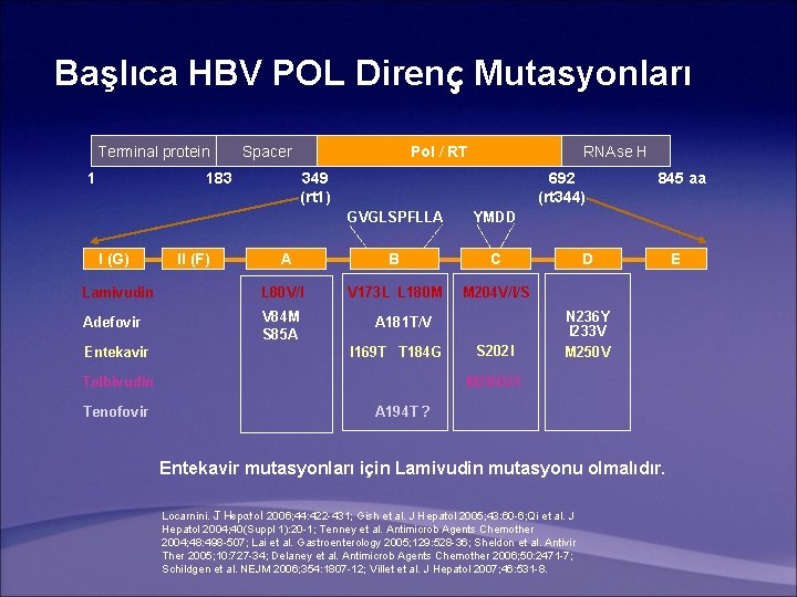 Başlıca HBV POL Direnç Mutasyonları Terminal protein 1 Spacer 183 Pol / RT RNAse