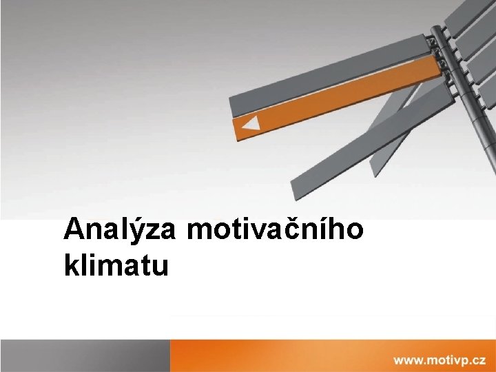 Analýza motivačního klimatu 