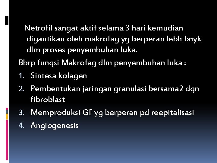 Netrofil sangat aktif selama 3 hari kemudian digantikan oleh makrofag yg berperan lebh bnyk