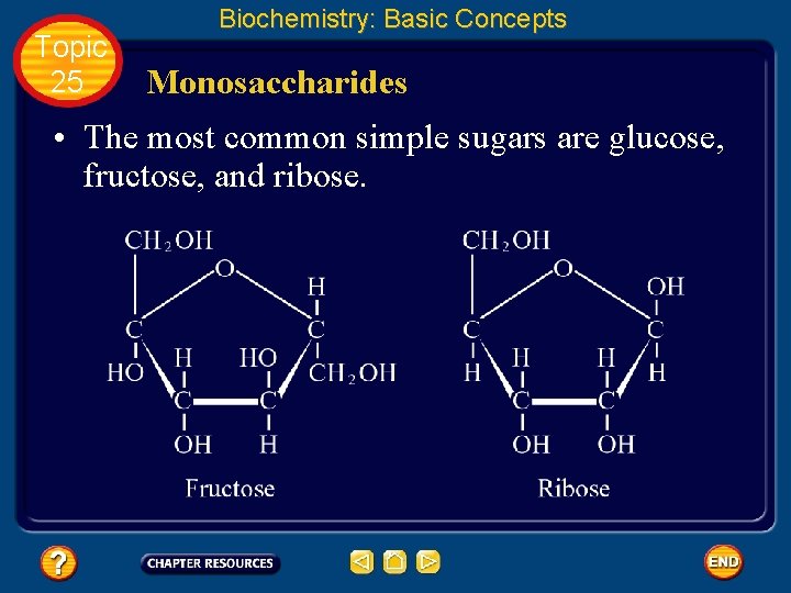 Topic 25 Biochemistry: Basic Concepts Monosaccharides • The most common simple sugars are glucose,