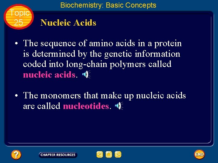 Topic 25 Biochemistry: Basic Concepts Nucleic Acids • The sequence of amino acids in