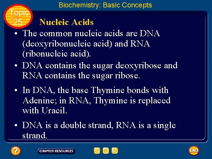 Topic 25 Biochemistry: Basic Concepts Nucleic Acids • The common nucleic acids are DNA