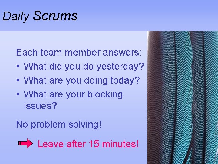 Daily Scrums Each team member answers: § What did you do yesterday? § What