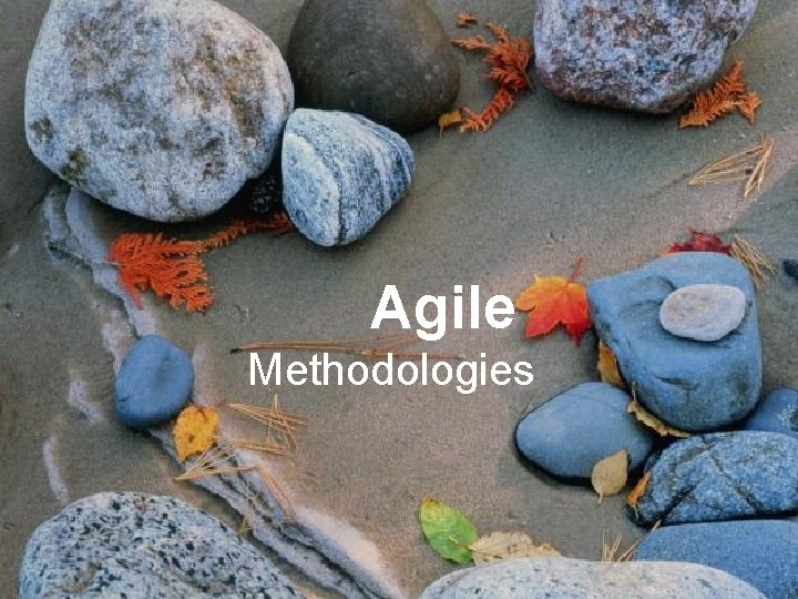 Project Management § Remove Obstacles Agile Methodologies 