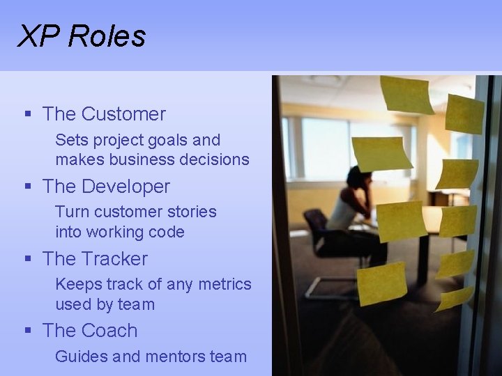 XP Roles § The Customer Sets project goals and makes business decisions § The