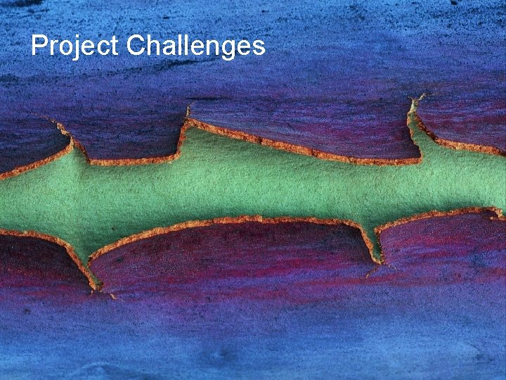 Project Challenges 