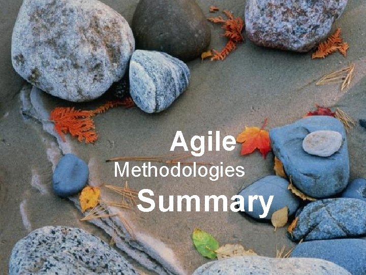 Project Management § Remove Obstacles Agile Methodologies Summary 