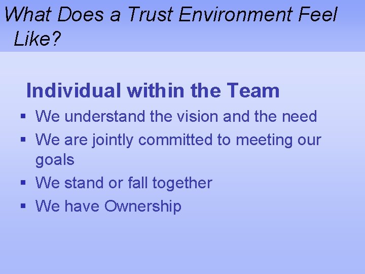 What Does a Trust Environment Feel Like? Individual within the Team § We understand