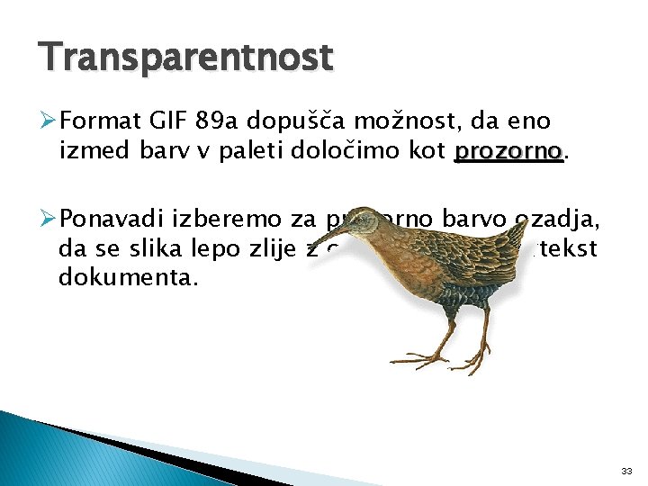 Transparentnost ØFormat GIF 89 a dopušča možnost, da eno izmed barv v paleti določimo