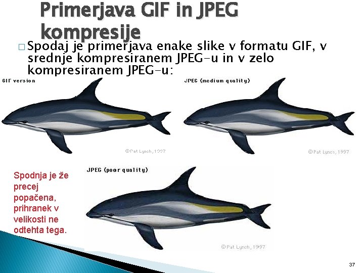 Primerjava GIF in JPEG kompresije � Spodaj je primerjava enake slike v formatu GIF,