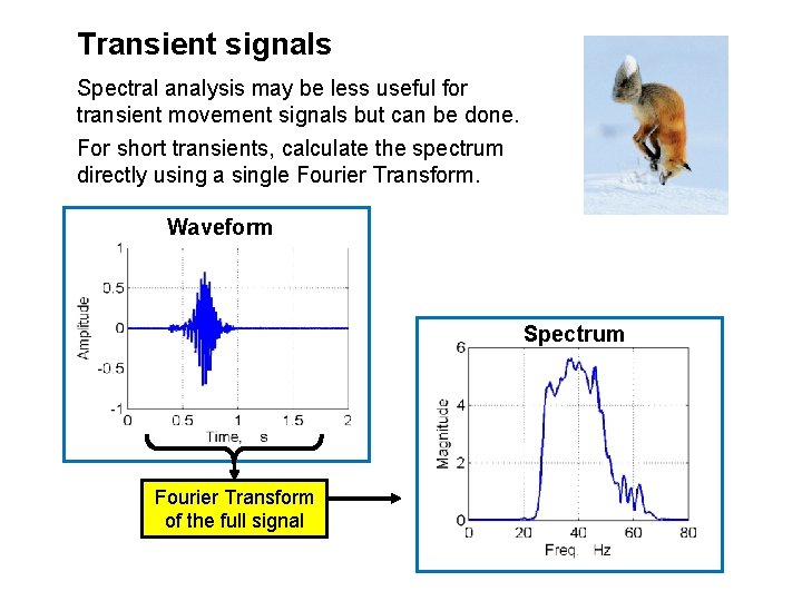 Transient signals Spectral analysis may be less useful for transient movement signals but can