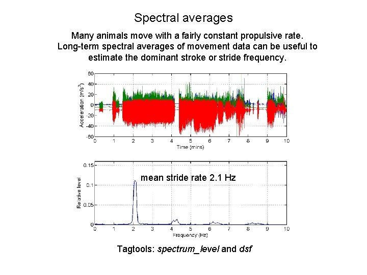 Spectral averages Many animals move with a fairly constant propulsive rate. Long-term spectral averages