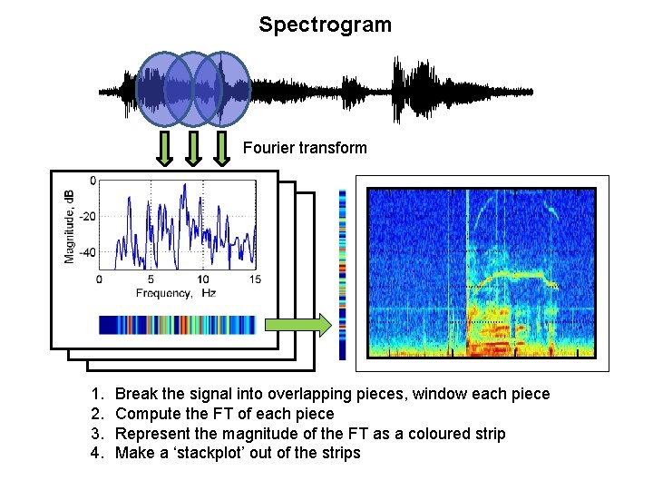 Spectrogram Fourier transform 1. 2. 3. 4. Break the signal into overlapping pieces, window