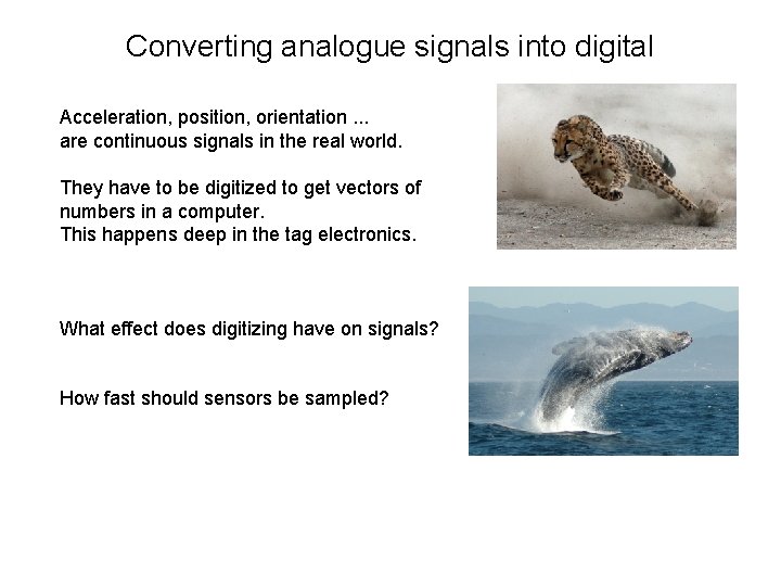 Converting analogue signals into digital Acceleration, position, orientation. . . are continuous signals in