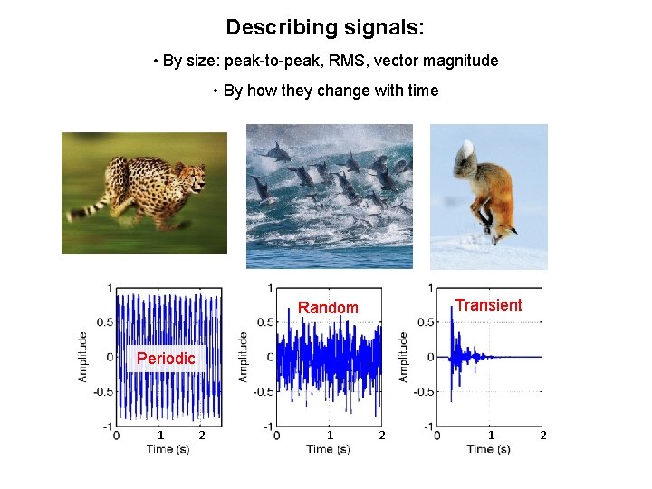 Describing signals: • By size: peak-to-peak, RMS, vector magnitude • By how they change