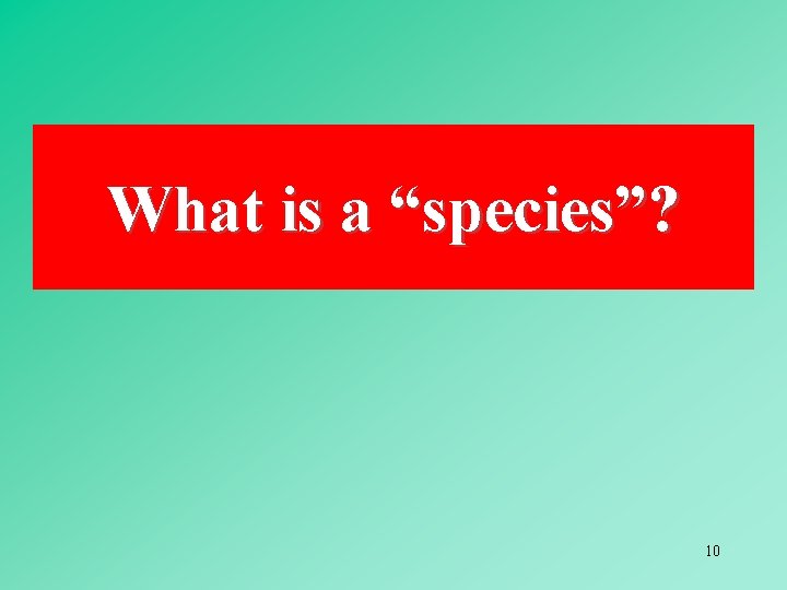 What is a “species”? 10 