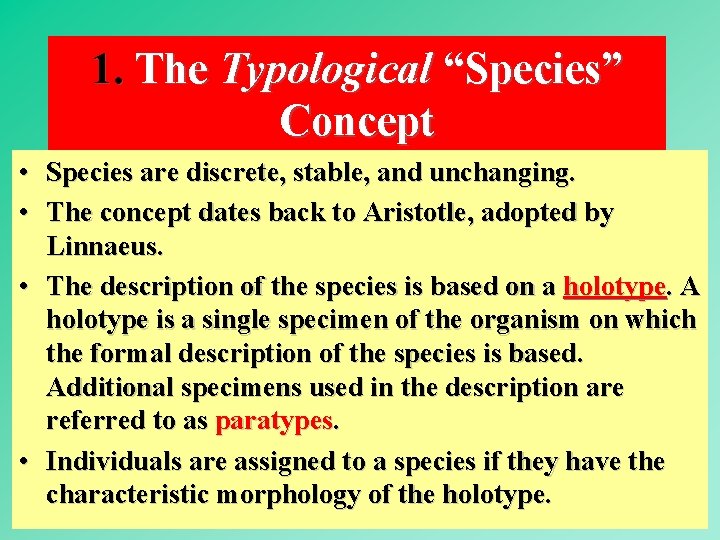 1. The Typological “Species” Concept • Species are discrete, stable, and unchanging. • The