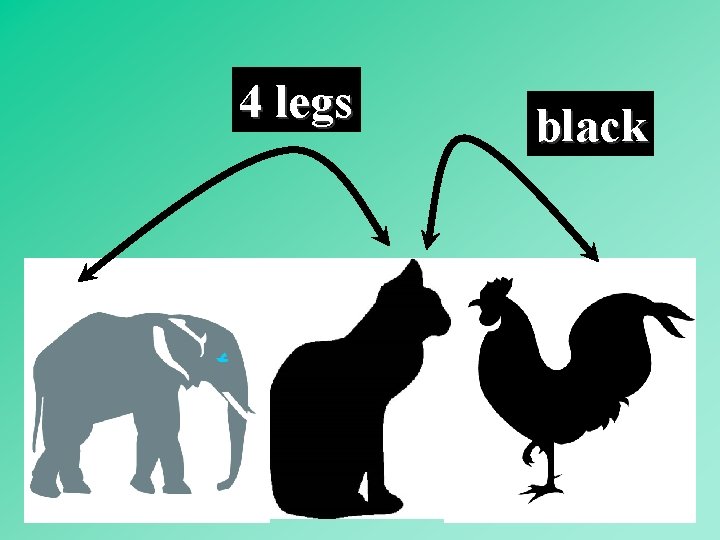 4 legs black 15 