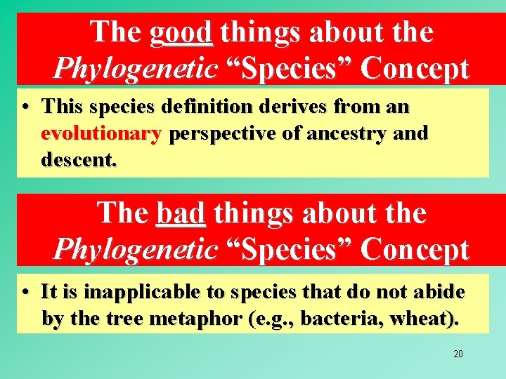 The good things about the Phylogenetic “Species” Concept • This species definition derives from