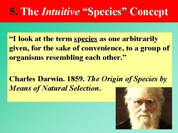 5. The Intuitive “Species” Concept “I look at the term species as one arbitrarily