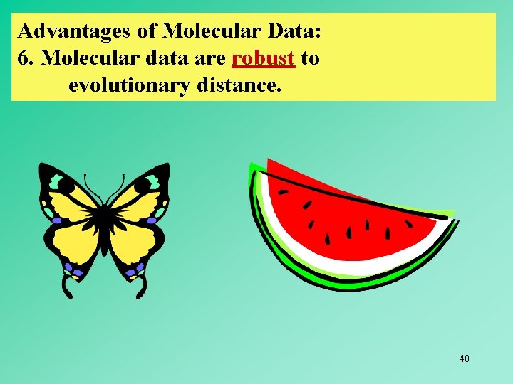 Advantages of Molecular Data: 6. Molecular data are robust to evolutionary distance. 40 