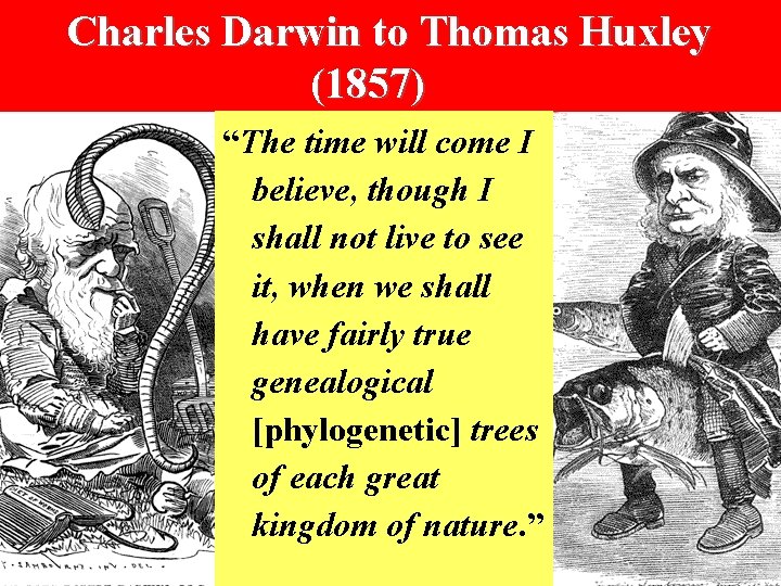 Charles Darwin to Thomas Huxley (1857) “The time will come I believe, though I