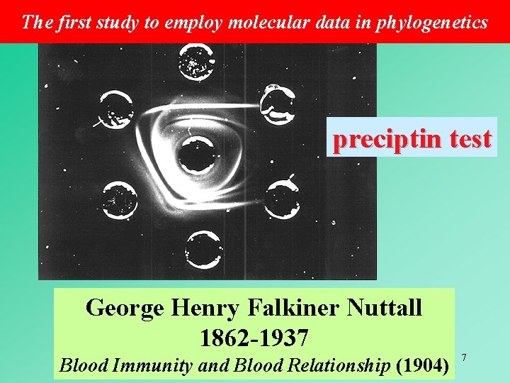 The first study to employ molecular data in phylogenetics preciptin test George Henry Falkiner