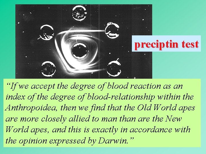 preciptin test “If we accept the degree of blood reaction as an index of
