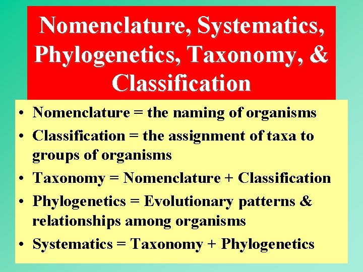 Nomenclature, Systematics, Phylogenetics, Taxonomy, & Classification • Nomenclature = the naming of organisms •