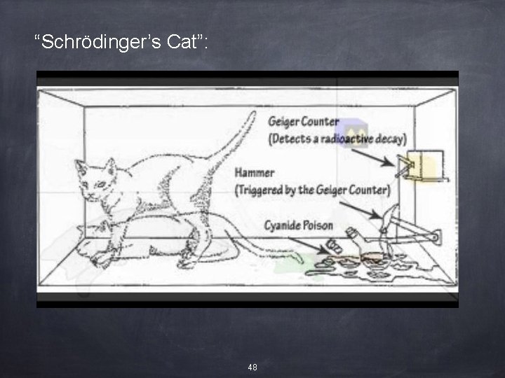 “Schrödinger’s Cat”: 48 