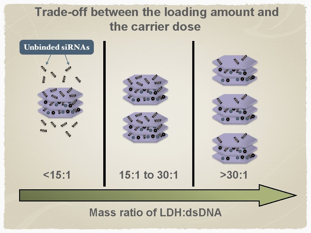  Trade-off between the loading amount and the carrier dose <15: 1 to 30: