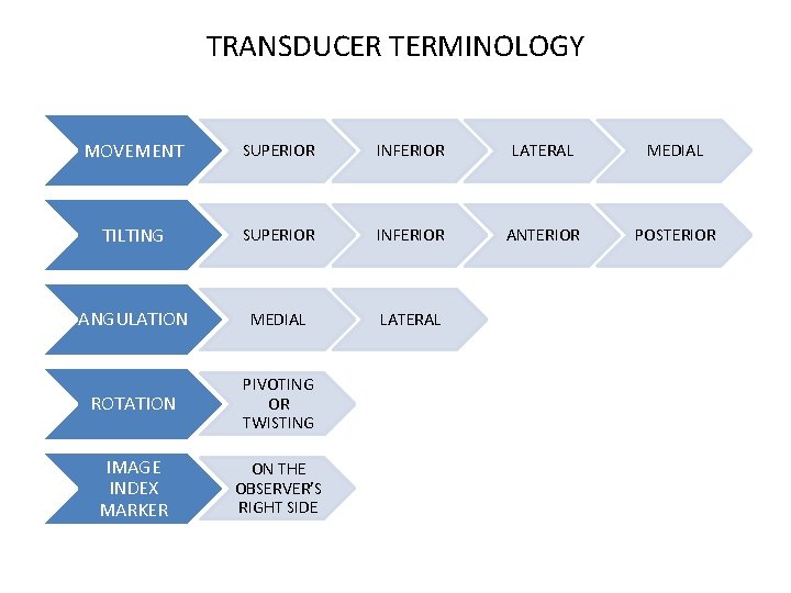 TRANSDUCER TERMINOLOGY MOVEMENT SUPERIOR INFERIOR LATERAL MEDIAL TILTING SUPERIOR INFERIOR ANTERIOR POSTERIOR ANGULATION MEDIAL