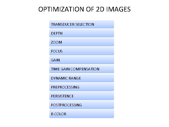 OPTIMIZATION OF 2 D IMAGES TRANSDUCER SELECTION DEPTH ZOOM FOCUS GAIN TIME GAIN COMPENSATION