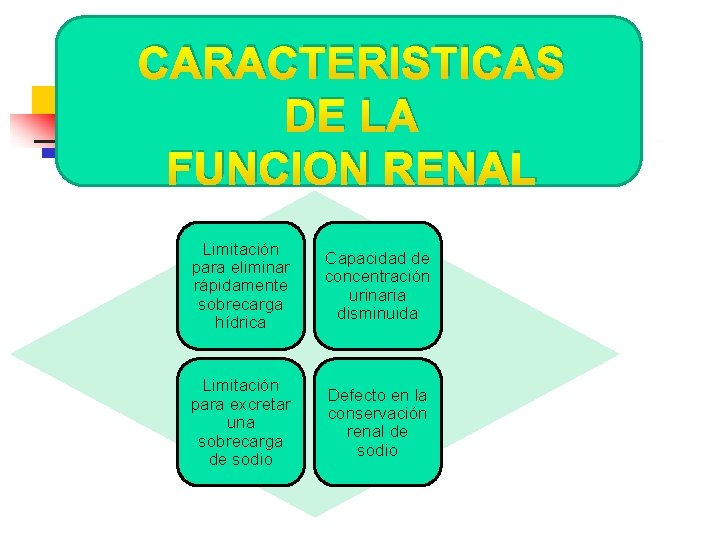 CARACTERISTICAS DE LA FUNCION RENAL Limitación para eliminar rápidamente sobrecarga hídrica Capacidad de concentración