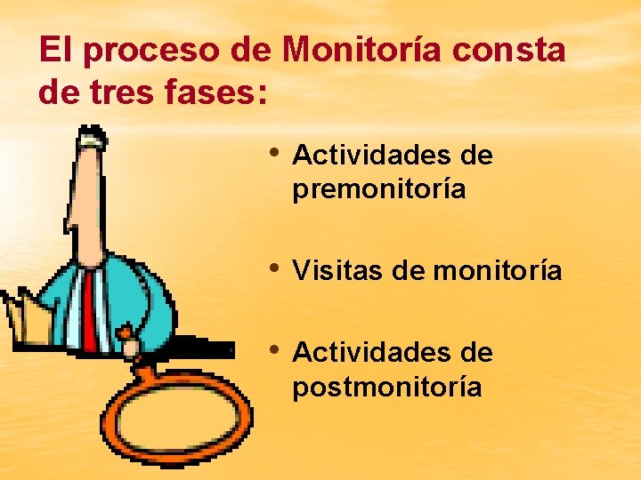 El proceso de Monitoría consta de tres fases: • Actividades de premonitoría • Visitas