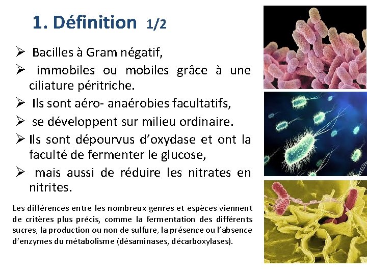 1. Définition 1/2 Ø Bacilles à Gram négatif, Ø immobiles ou mobiles grâce à