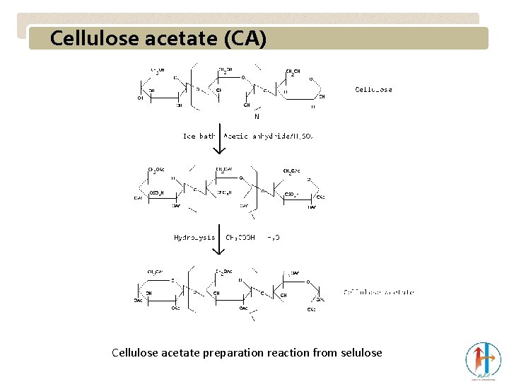 Cellulose acetate (CA) Cellulose acetate preparation reaction from selulose 