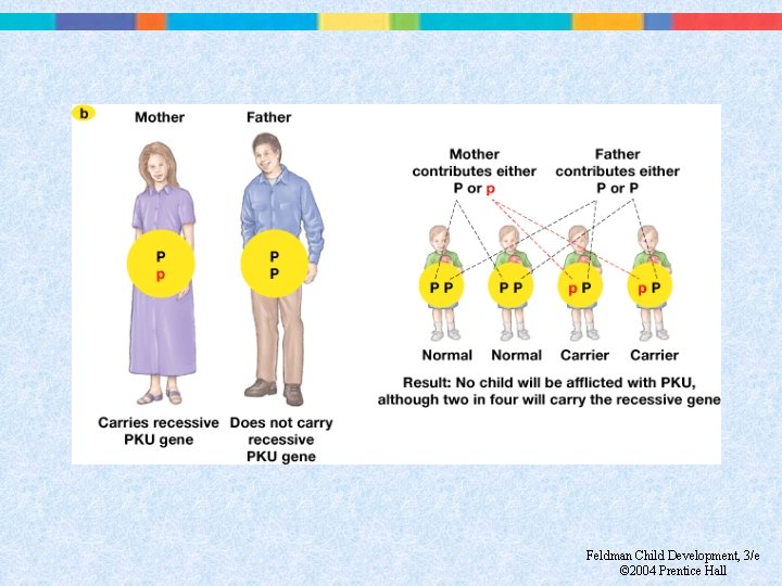 Feldman Child Development, 3/e © 2004 Prentice Hall 