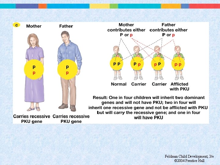 Feldman Child Development, 3/e © 2004 Prentice Hall 